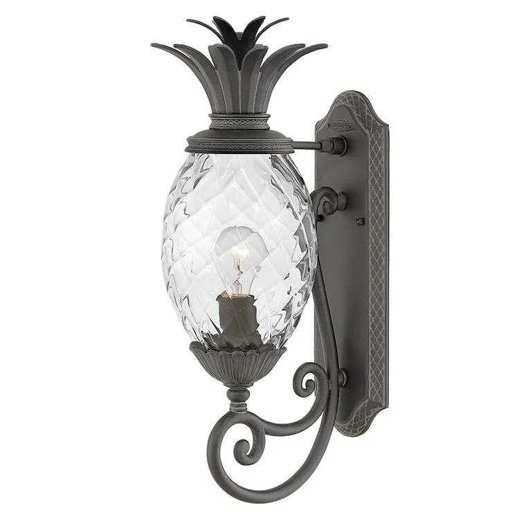 Outdoor Light Plantation 1 Lamp Museum Black Glass or Shade Clear Optic Medium 75 Watt